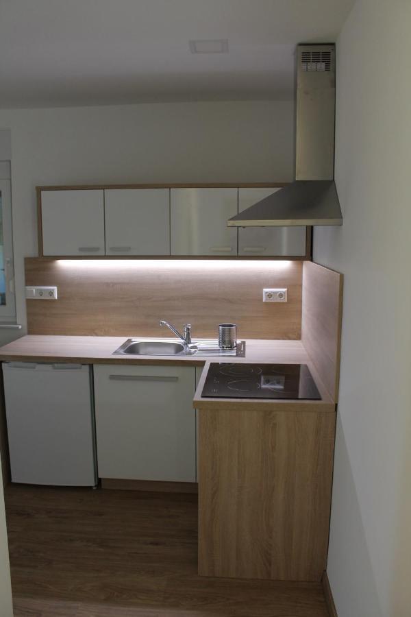 Petite Apartment Maribor Exteriör bild